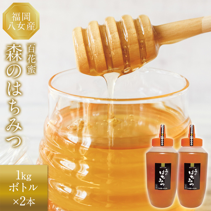 国産蜂蜜2ｋｇ（1ｋｇボトル×２）セット BM017 - 福岡県大木町