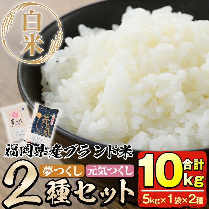 ふるさと納税 【令和4年産】福岡県産ブランド米「元気つくし」無洗米