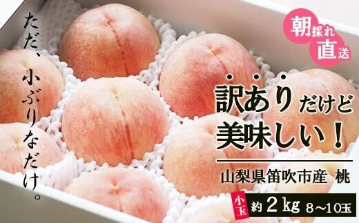 ふるさと納税 ＜2024年 先行予約＞本場 山梨 訳あり 不揃い 桃 もも 大