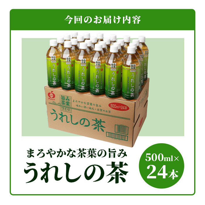 うれしの茶 500mlペットボトル×24本入 箱買い セット お茶 飲料 緑茶 飲み切りサイズ B-664 - 佐賀県鹿島市｜ふるさとチョイス -  ふるさと納税サイト