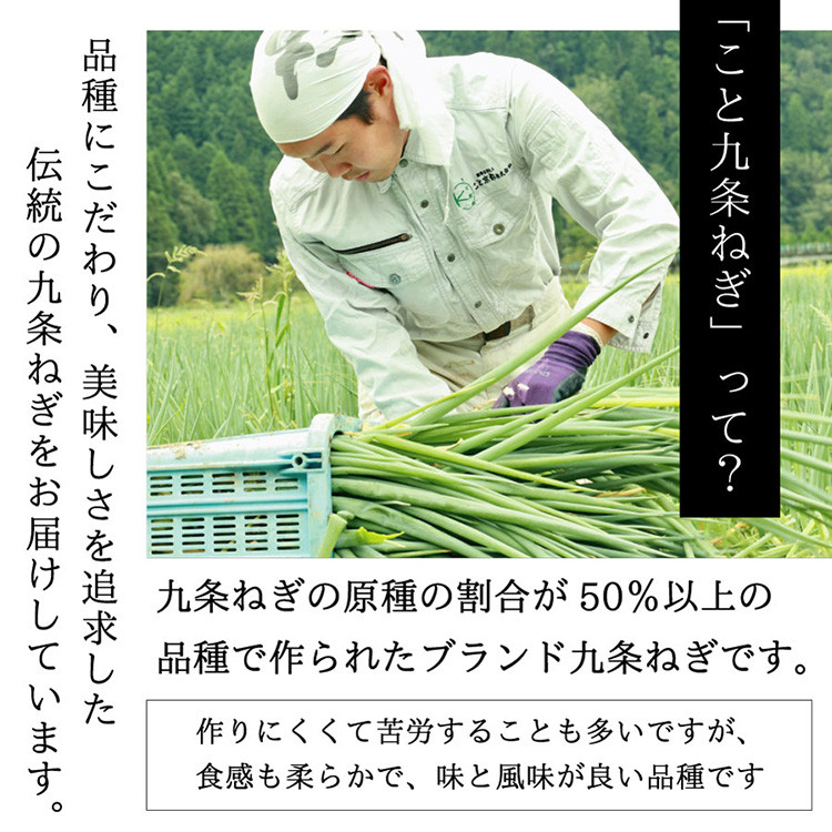 九条ねぎ 1kg《ネギ ねぎ 葱 長ネギ 長ねぎ 青ネギ 青ねぎ 根きり 京都