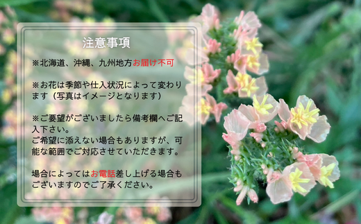 「朝切りの季節のお花で作るオリジナル花束~87KOUBOU17~」フローリストがオシャレに仕上げる新鮮なお花のナチュラルブーケ