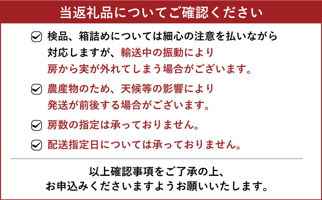 8月上旬～順次発送予定】 巨峰 2～3房 計約1kg 河野ぶどう園 - 熊本県