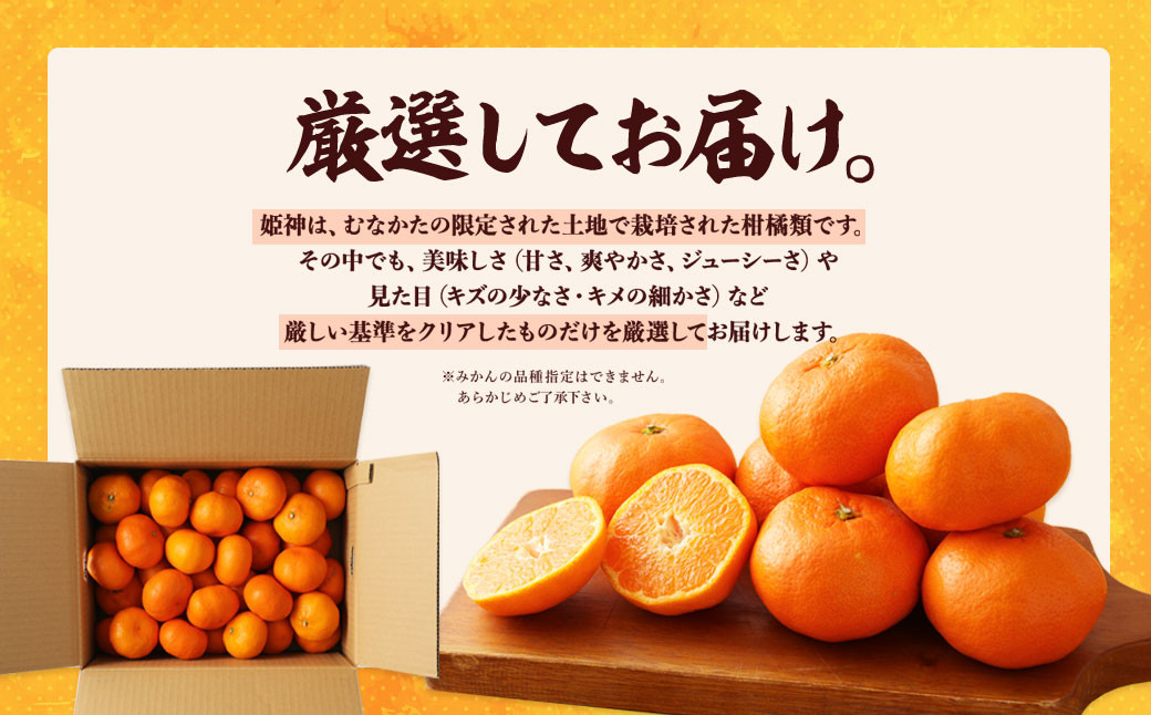 旬のミカンをお届け！JAむなかた柑橘ブランド「姫の神」3kg 甘くておいしいみかん【2024年1月～4月上旬発送】_KA0281