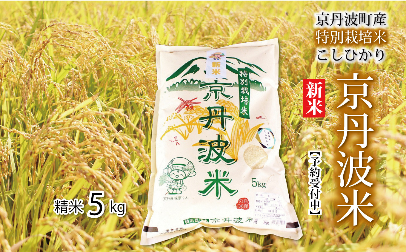 新米先行予約】特別栽培米こしひかり 5kg 京都 京丹波町産 コシヒカリ