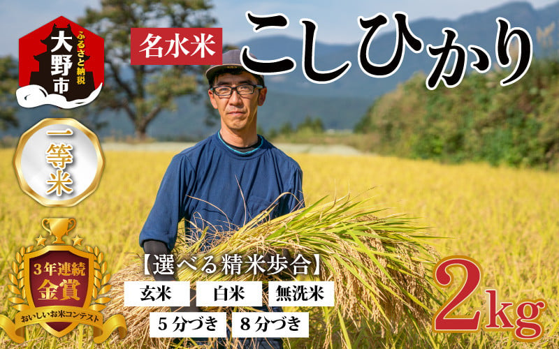 ふるさと納税 銚子市 2024年2月発送開始『定期便』無洗米コシヒカリ