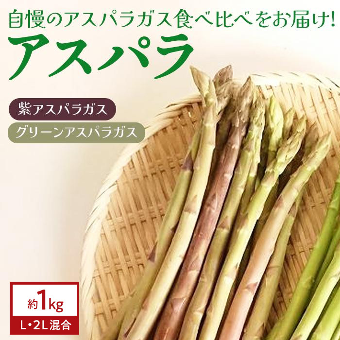 由布市産 アスパラガス 食べ比べ（紫・グリーン） 約1kg（L・2L混合