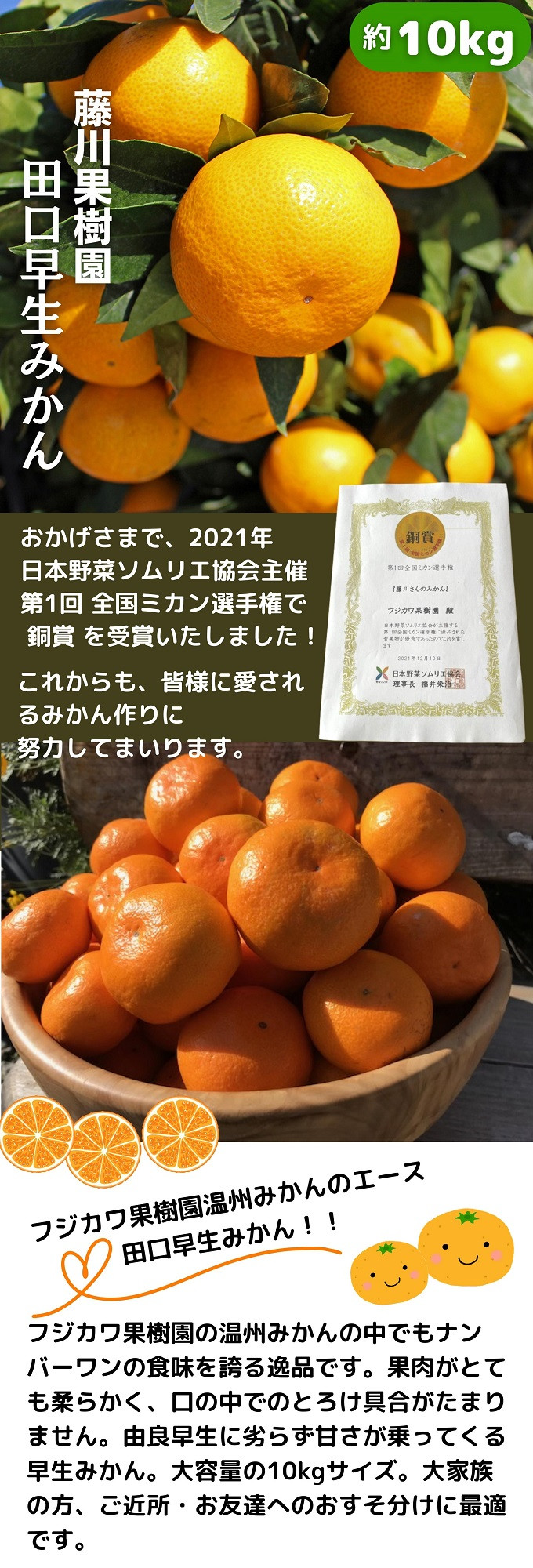 定番人気 田辺市 由良みかん 訳あり田口早生～箱込９キロ 楽天市場