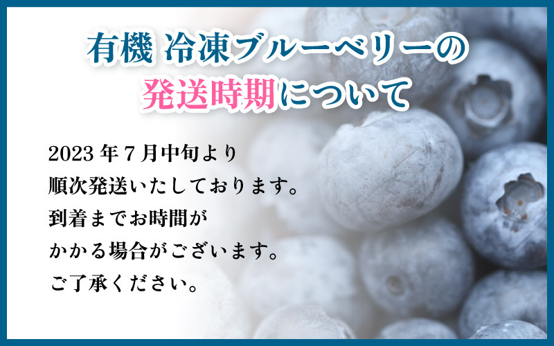 有機 冷凍ブルーベリー1.6kg（400g×4パック) - 島根県邑南町｜ふるさと