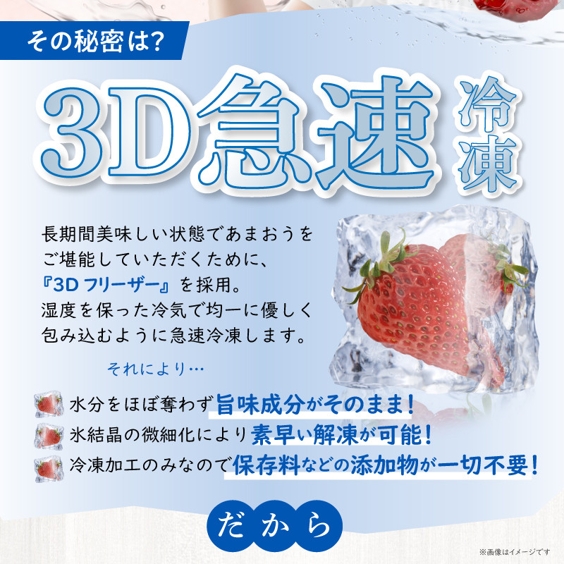 最終値下げ】冷凍完熟博多あまおうのみ 約10キロ - 果物