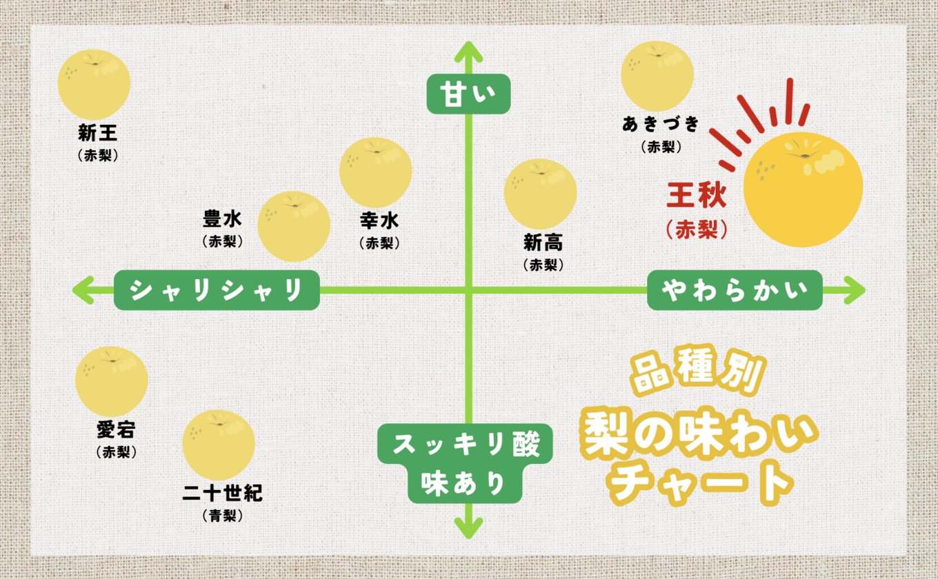 ふるさと納税サイト　令和5年産先行予約】佐賀・伊万里梨「王秋」5kg　佐賀県NPO支援｜ふるさとチョイス