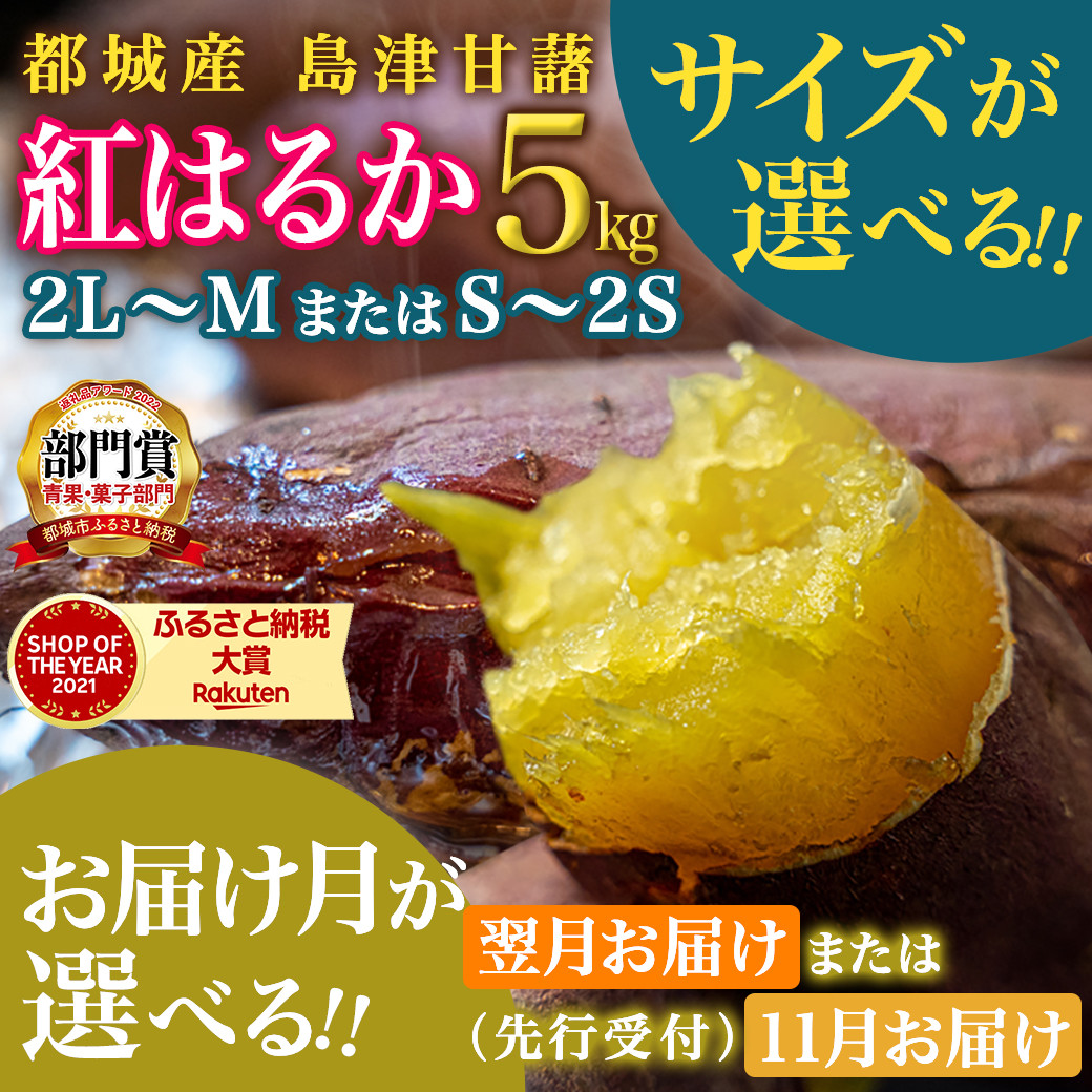 先行受付!】島津甘藷 熟成紅はるか 5kg(S～2S) ※令和5年産新芋_LD-A701