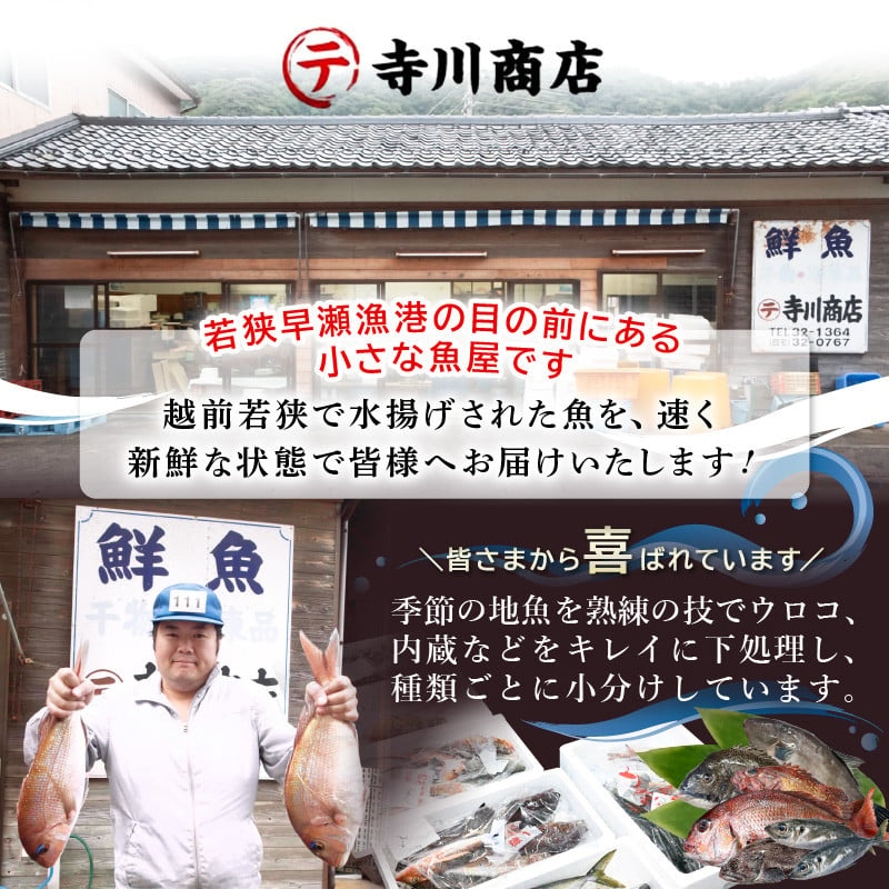 冷凍】冬の味覚 冷凍セイコガニ 大サイズ × 6匹 計1kg以上 食べ方カラー説明書付き 全て地物！天然！ズワイガニメス [m21-f002] -  福井県美浜町｜ふるさとチョイス - ふるさと納税サイト