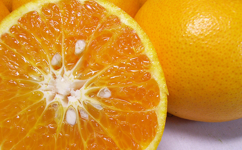  予約受付 訳あり みかん 由良 計 10kg 以上 傷み補償分400g付き 蜜柑 柑橘 オレンジ