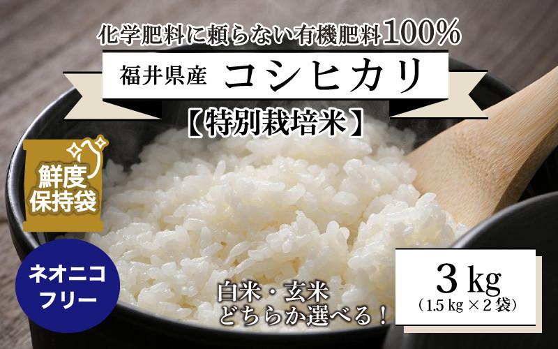 E玄米／精米／安心安全／お米／コシヒカリ／安い／１キロ - 米・雑穀・粉類