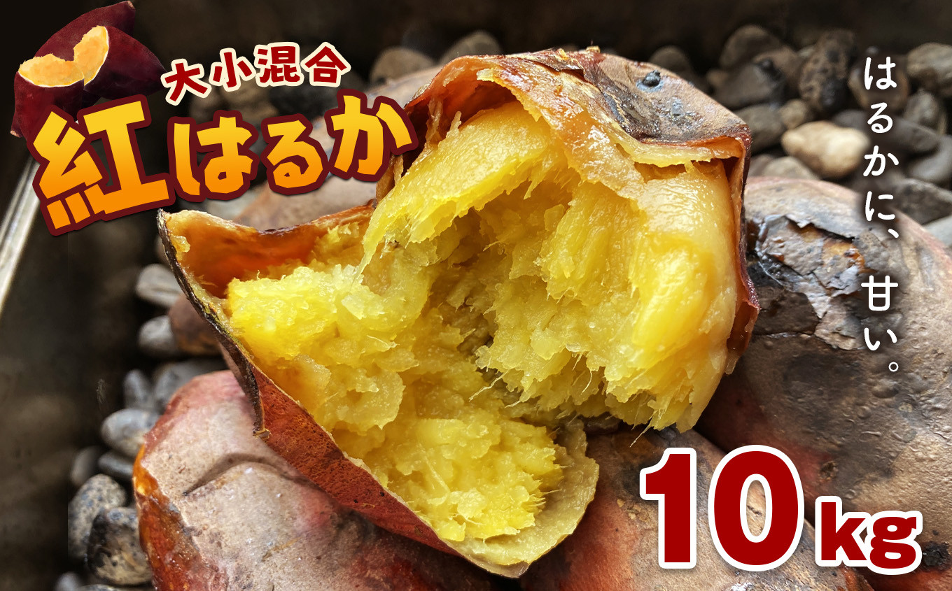 茨城県産　さつまいも　紅はるか　土付き　約13kg