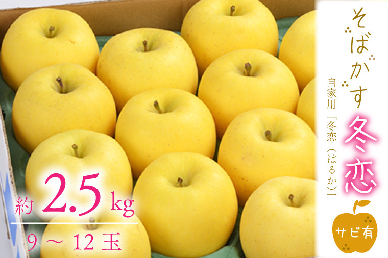 【最終】冬恋（はるか）！毎年完売！岩手県産家庭用りんご2kg以上 送料無料ご理解の上ご購入お願い致します