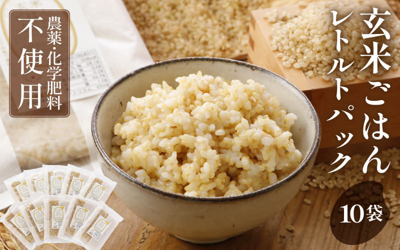 コシヒカリ 新米 玄米 数量限定 農薬不使用 国産 無添加 2kg 農家直送 - 7