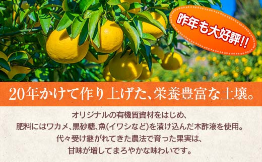 訳あり≪数量限定≫海藻木酢日向夏(計8kg以上)傷み補償分200g付き