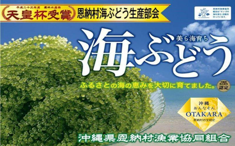 恩納村産 生海ぶどう ５００g｜配送時期：4月～10月（8月～9月上旬は除く）【海ブドウ 海ぶどう 海藻 水産 沖縄 恩納村 食品 人気 おすすめ  送料無料】