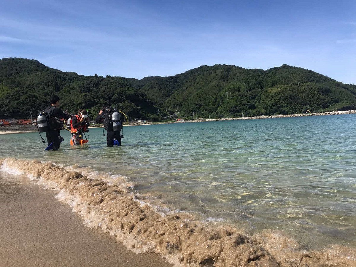 写真