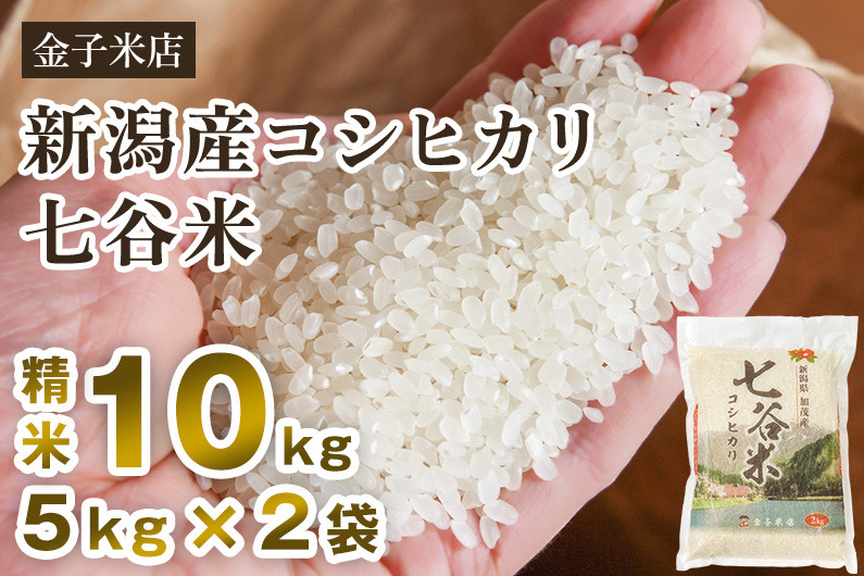 新米 新潟県 ５年産 コシヒカリ 白米 10ｋｇ(10ｋｇ×１袋) お米 米 - 米