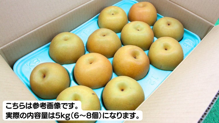 ふるさと納税 茨城県 桜川市 《 優品 》 にっこり梨 約5kg 6玉〜8玉