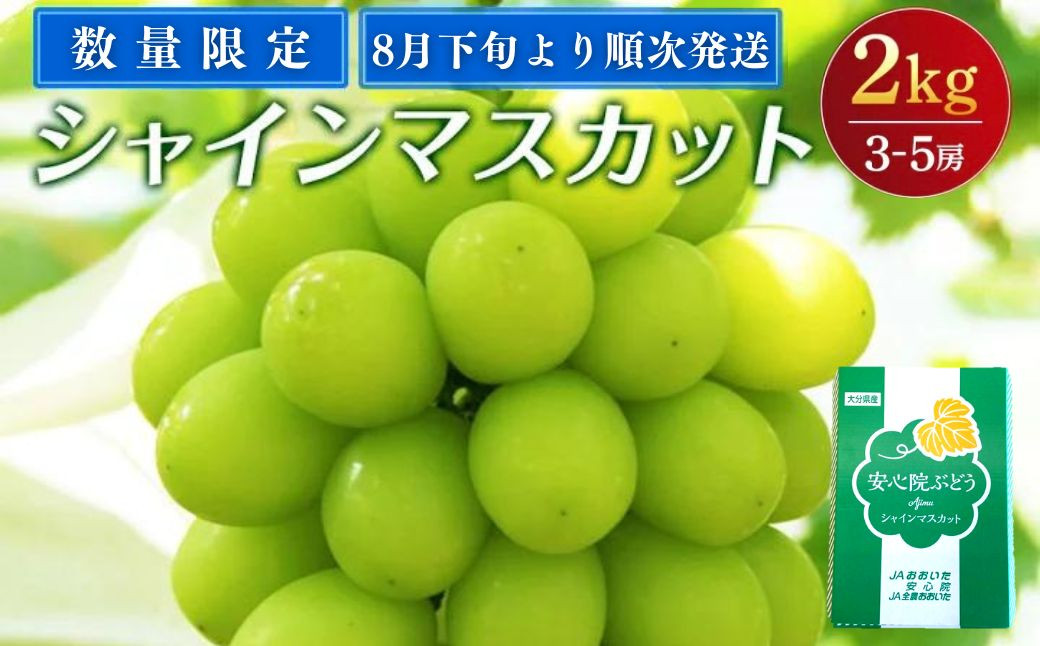 B-600 シャインマスカット 2kg 3房～5房 数量限定 安心院 宇佐市産 予約 8月下旬より順次発送 ぶどう ブドウ 葡萄 マスカット  お取り寄せ フルーツ 果物 大分県宇佐市｜ふるさとチョイス ふるさと納税サイト