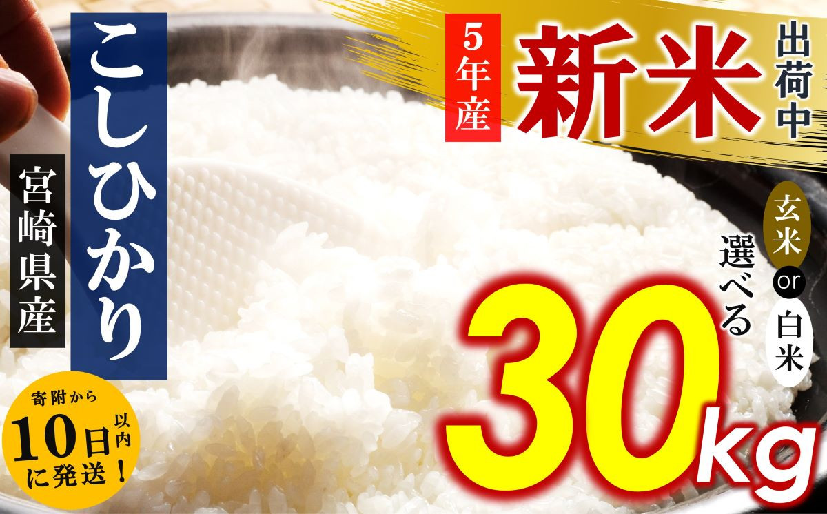 販売終了！令和5年 宮崎県産 新米 玄米20キロ 夏の笑み | www ...