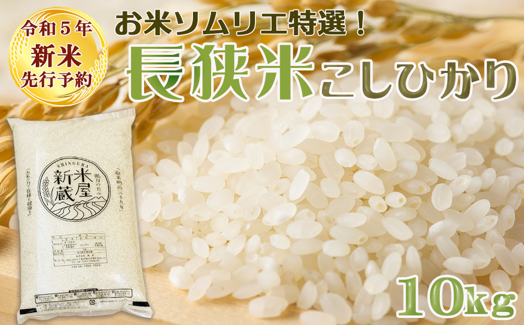 令和5年熊本県産新米コシヒカリ収穫したて10kg！