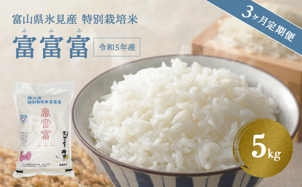 米　ふるさと納税サイト　