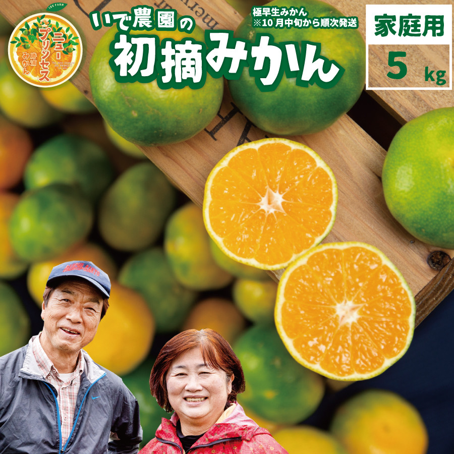 井出農園 訳あり 極早生 初摘みかん 家庭用 S-L混合 5kg 徳島県勝浦町｜ふるさとチョイス ふるさと納税サイト