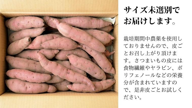 照沼　食物繊維　つくばみらい市産　土付き5kg　サイズ未選別　先行予約　さつまいも　】　いも　つくばみらい市｜ふるさとチョイス　紅はるか　サツマイモ　茨城県　つくばみらい　ふるさと納税サイト