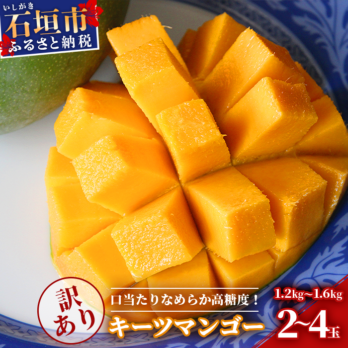 沖縄県産キーツマンゴー　2.5キロ　家庭用　果物