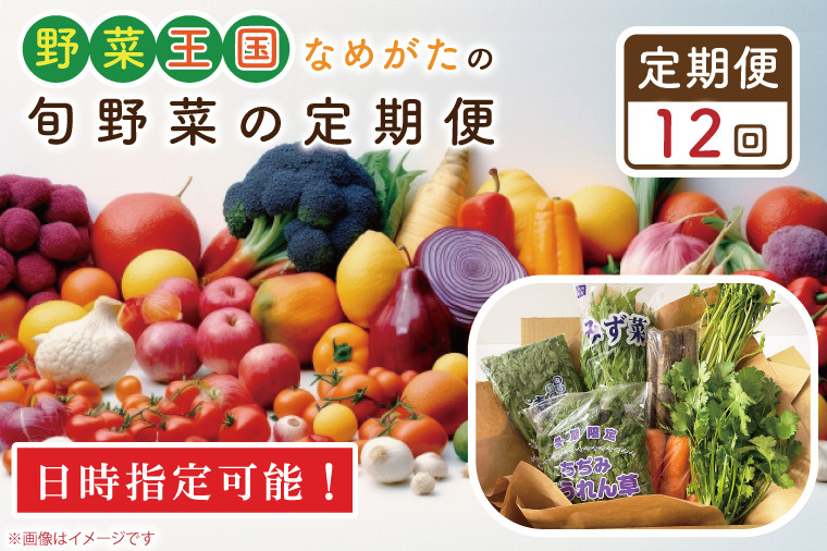 ふるさと納税　茨城県　野菜王国なめがたの旬野菜の定期便　行方市　CU-130　通販