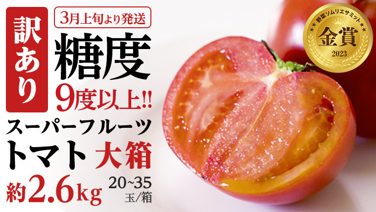 高知県中土佐町　先行予約受付中絶品フルーツミニトマト　86％以上節約　ふるさと納税　約1.0kg