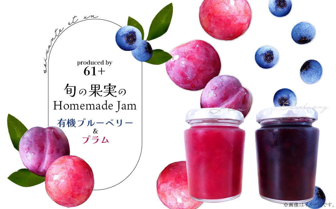 旬の果実の Homemade Jam 2個セット 有機ブルーベリー＆プラム 栃木県野木町｜ふるさとチョイス ふるさと納税サイト