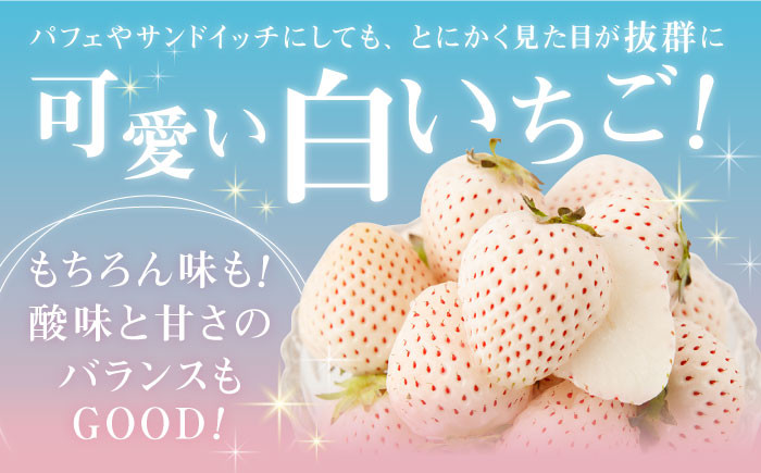 先行予約】【農家直送】味のバランスのよい希少な白いちご「天使のいちご」220g×2パック【ひかるのうえん】 [IBI001] -  佐賀県白石町｜ふるさとチョイス - ふるさと納税サイト