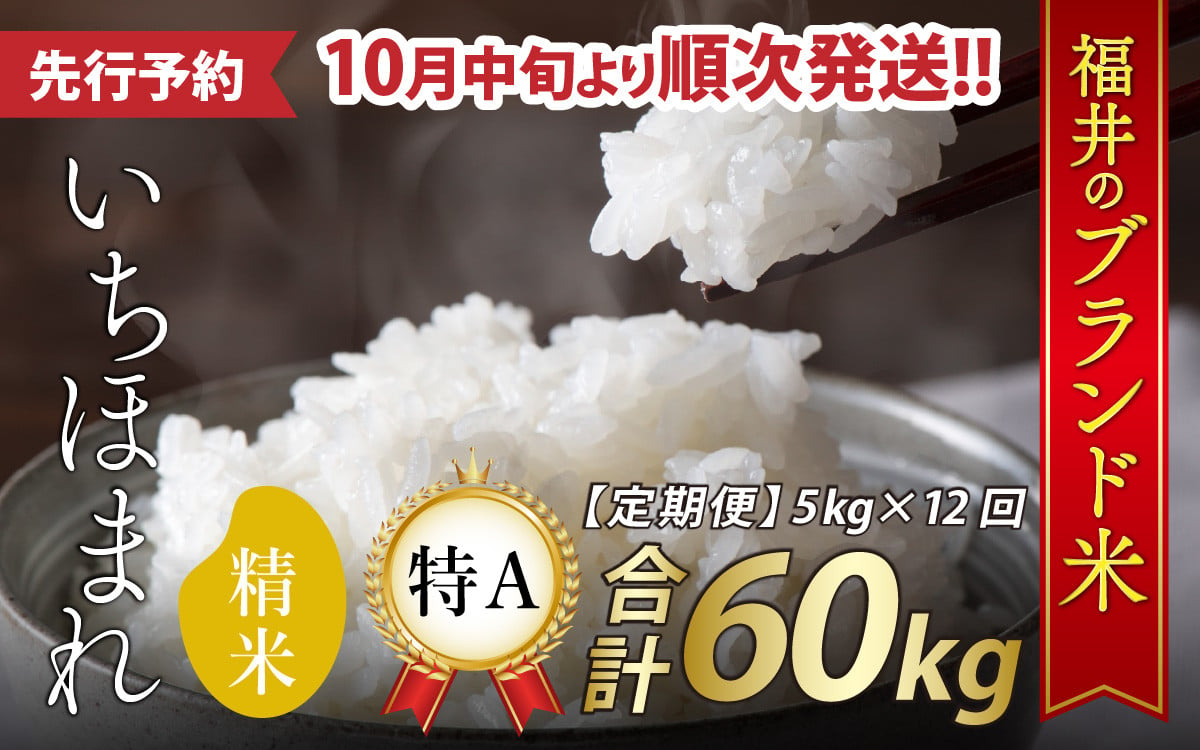 柔らかい にじのきらめき 白米 5kg yatesrealty.com