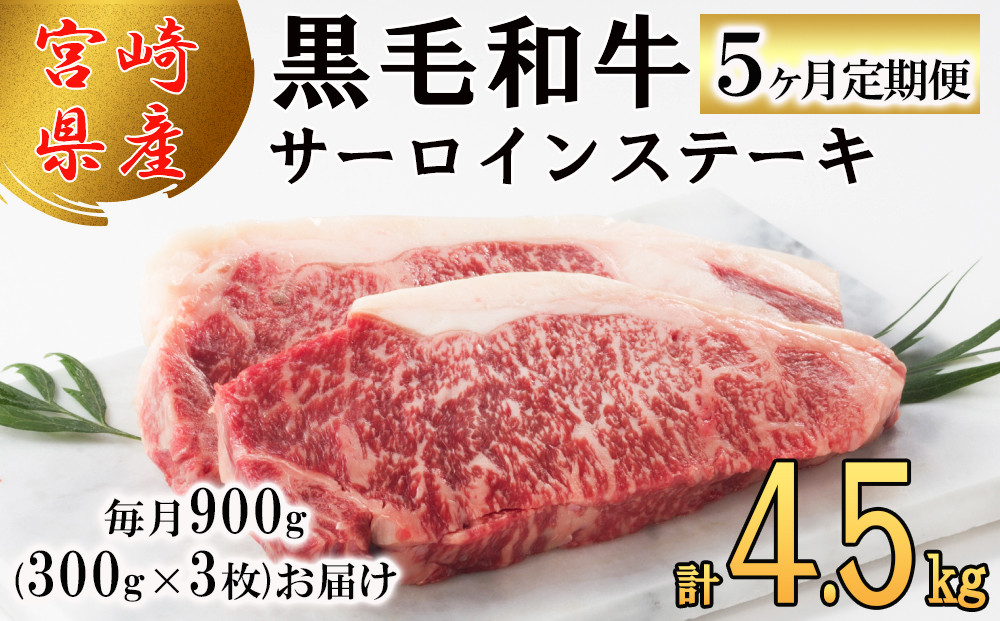 【５回定期便】 宮崎県産 黒毛和牛 サーロイン ステーキ 300g ×3×5ヶ月 合計4.5kg 小分け 冷凍 送料無料 国産 牛 肉 霜降り BBQ  バーベキュー キャンプ 真空包装 スペース 収納 サシ がっつり 脂