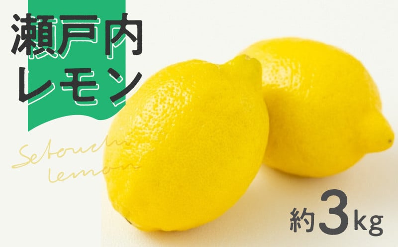 M02-0140_【先行予約】瀬戸内レモン約3kg