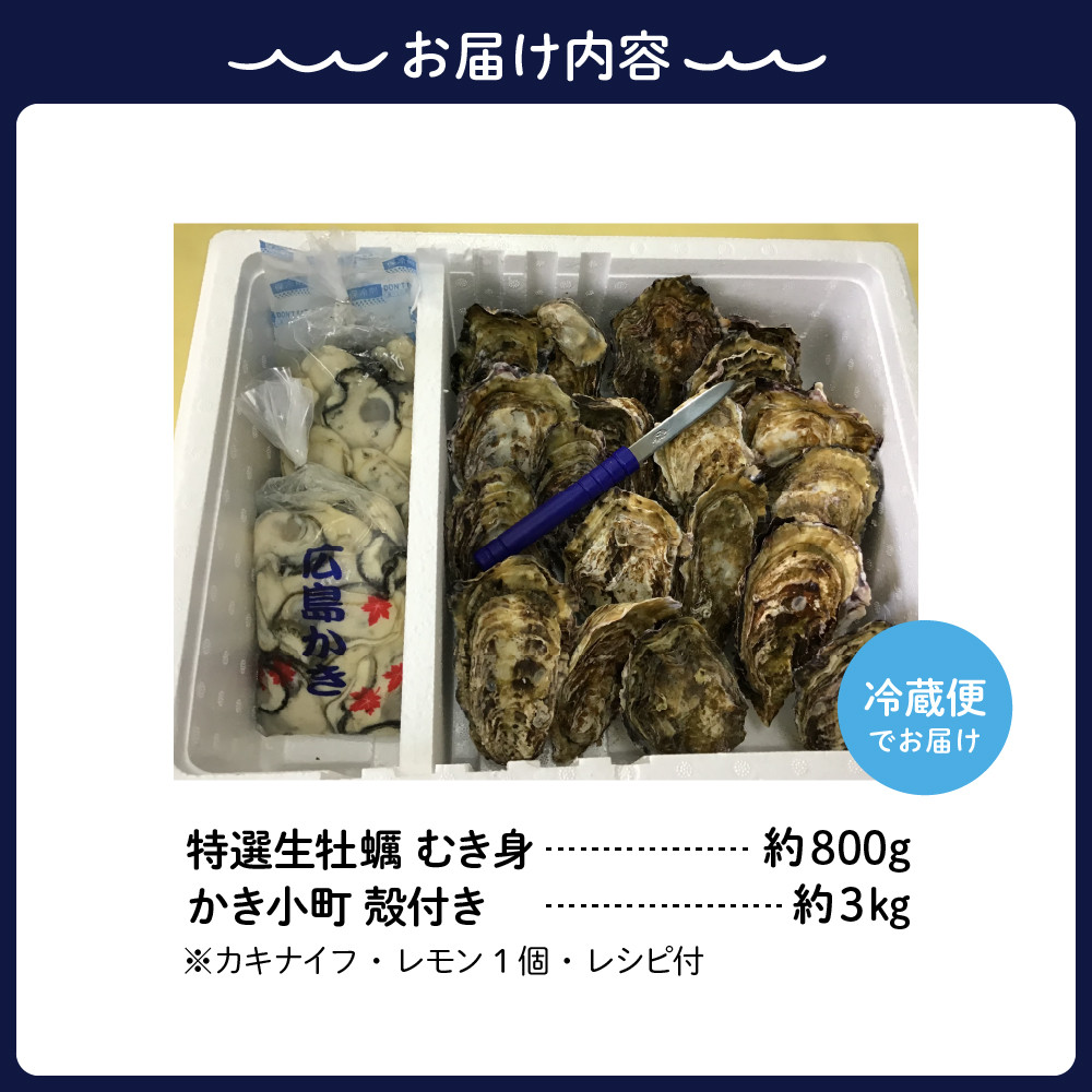 丸十水産 生牡蠣 特選むき身 800g 殻付き かき小町 約3kg