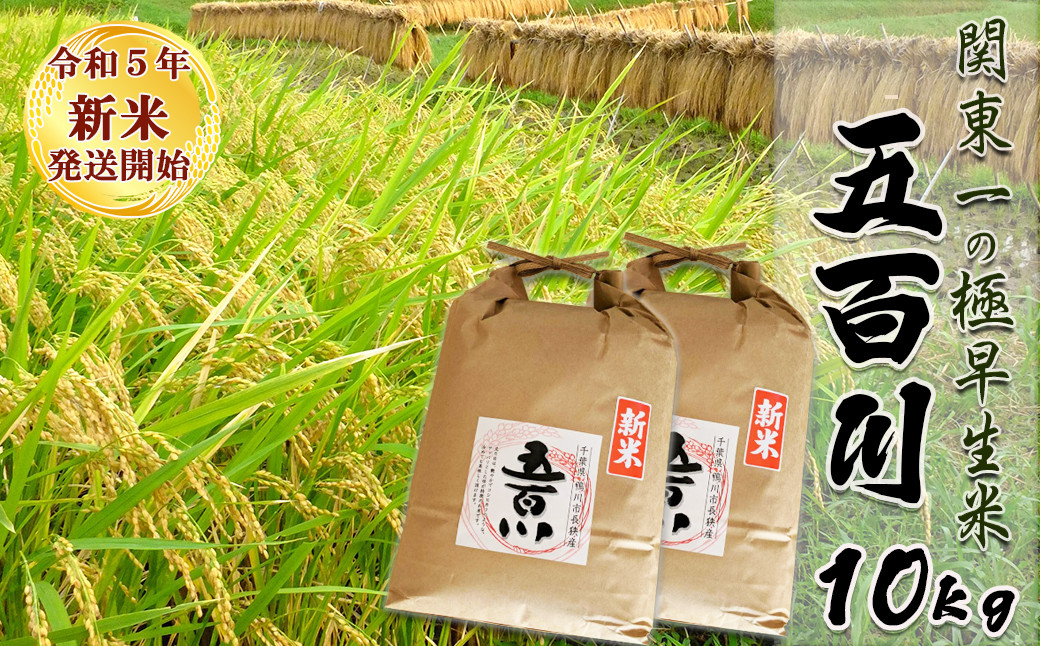 令和５年新米》【米屋新蔵】関東一の極早生米『五百川』10kg [0014