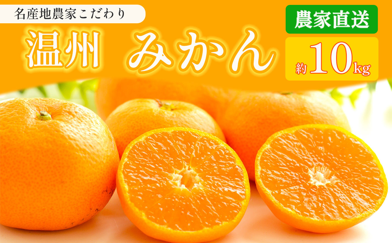 熊本県産 こだわり みかん 約 10kg 下田農園