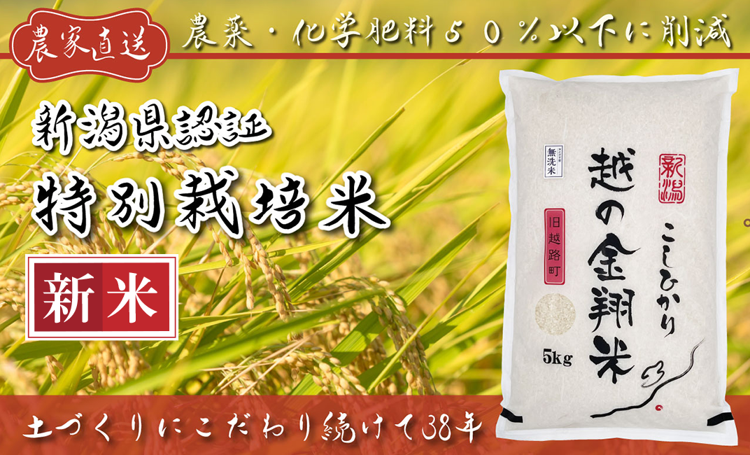 農家直送新米！ 玄米5キロ　新潟県産こしいぶき　特別栽培米　5年産　低温冷蔵
