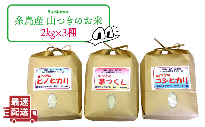 高知県産ヒノヒカリ玄米20kg農家直送減農薬 - 米