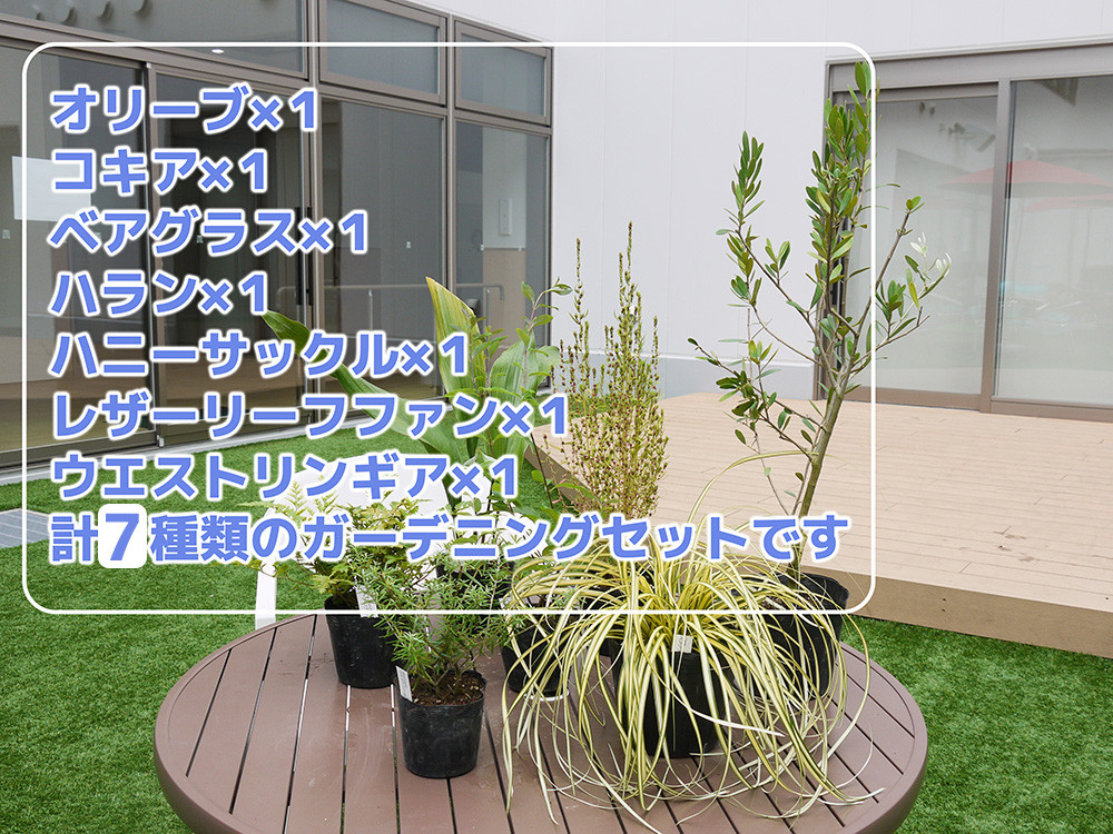 BS149_ガーデニング洋タイプ7種セット 花 苗 植物 家庭菜園 花壇