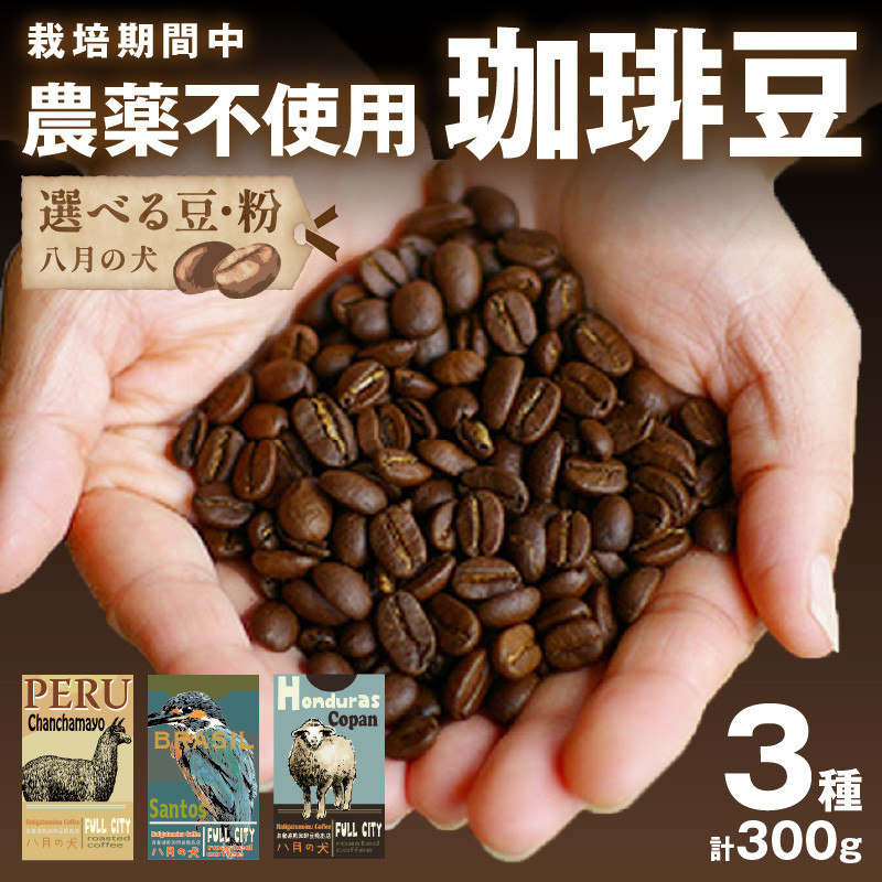コーヒー生豆 1kg カフェインレス ブラジル No2 3（スイス式水抽出法