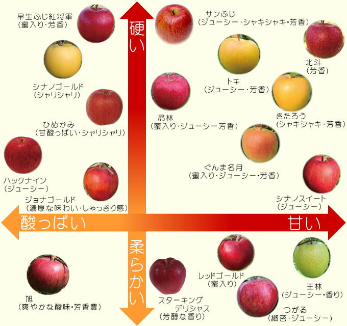 増毛町で収穫されるりんごの品種別特徴です。