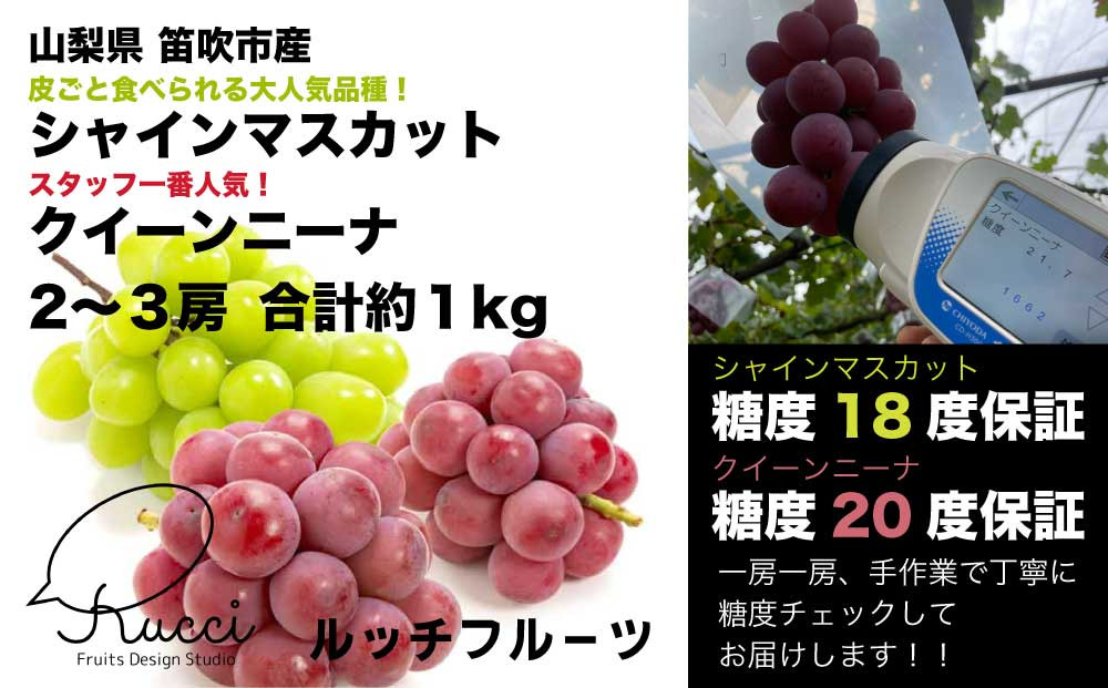 食べ比べ】シャインマスカット+クイーンニーナ 約２ｋｇ【希少品種】 山梨県笛吹市｜ふるさとチョイス ふるさと納税サイト